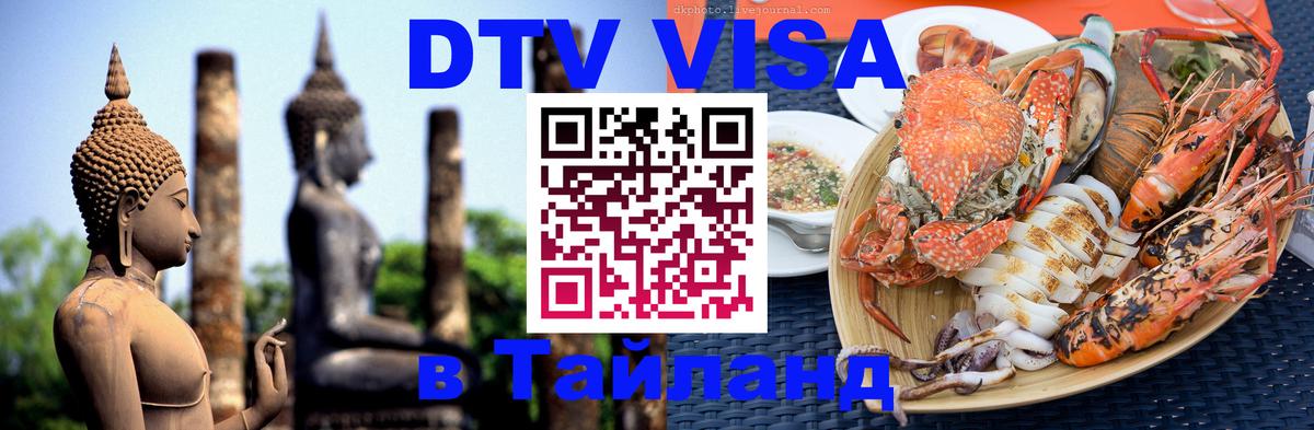 Оформление DTV визы под ключ: стоимость и тарифы, только загранпаспорт - Кызыл  20.11.2025 